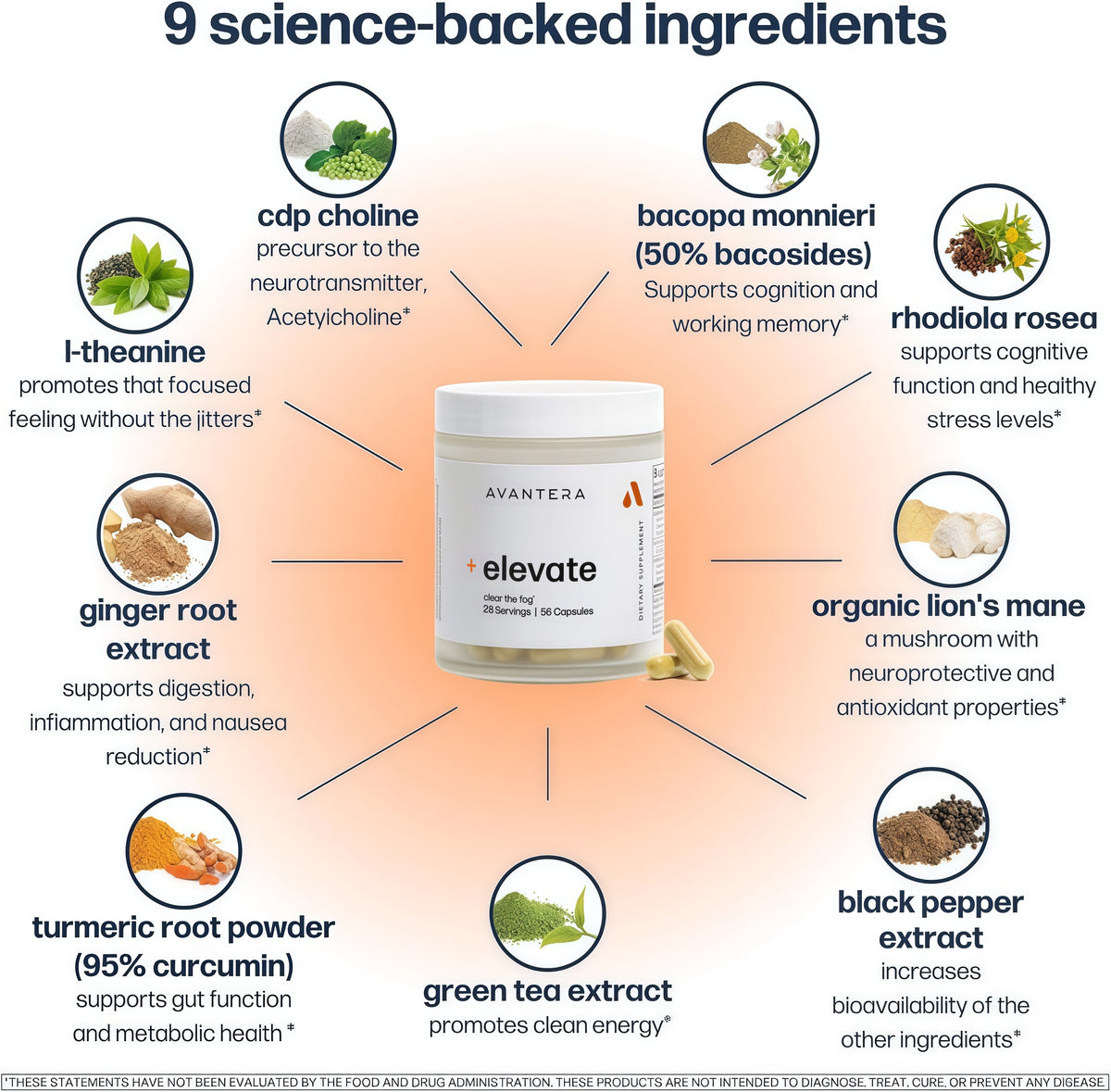 Avantera Elevate Premium Nootropic Supplement - Beat Brain Fog - Best Focus Supplements for Memory & Focus Support - Energy Without Crash - 56 Count Pills for Women & Men*